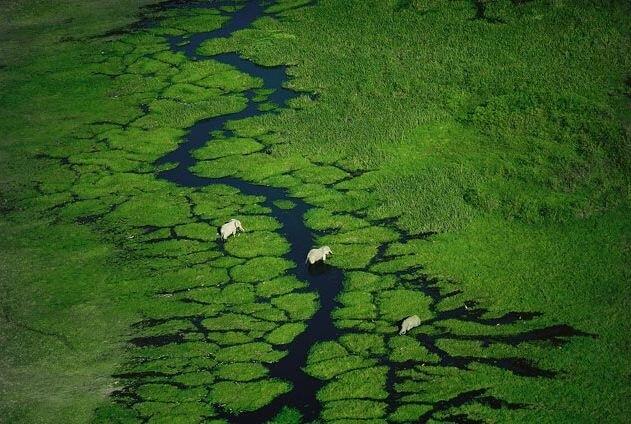 L'important (@limportant_fr) on Twitter photo Protégeons le vivant, notre avenir en dépend: «Il faut arrêter de vider nos océans, de raser nos forêts et de ravager les écosystèmes terrestres, de bétonner nos zones humides, de promouvoir un système agricole intensif et industriel» limportant.fr/infos-planete/… <a href="/infogoodplanet/">goodplanet</a> Protégeons le vivant, notre avenir en dépend: «Il faut arrêter de vider nos océans, de raser nos forêts et de ravager les écosystèmes terrestres, de bétonner nos zones humides, de promouvoir un système agricole intensif et industriel» limportant.fr/infos-planete/… <a href="/infogoodplanet/">goodplanet</a>