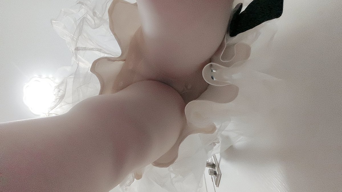 0731兔纸夫妻 tweet media