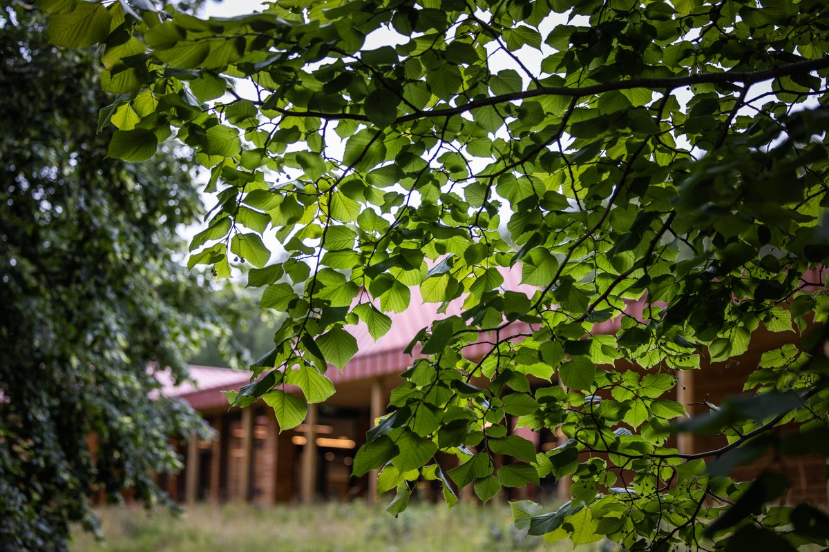 You're invited to stay in the heart of the Highlands!

✨ As featured on BBC Scotland’s Greatest Escapes 

Wake to birdsong, walk under ancient trees, and witness rewilding all around you.

🗺️ visitdundreggan.co.uk/directions/