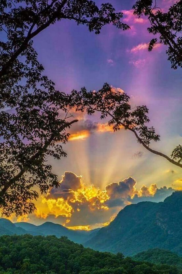 BUENOS DÍAS!!
A TODOS MIS QUERIDOS AMIG@S DE X, LES DESEÓ UN ESPLÉNDIDO MIÉRCOLES. QUE CREADOR LIS BENDIGA SIEMPRE.🙏🍀☕