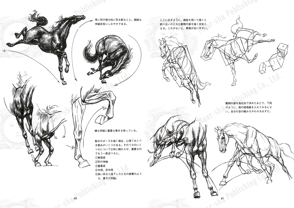 動物を描く マール社_50周年 on X