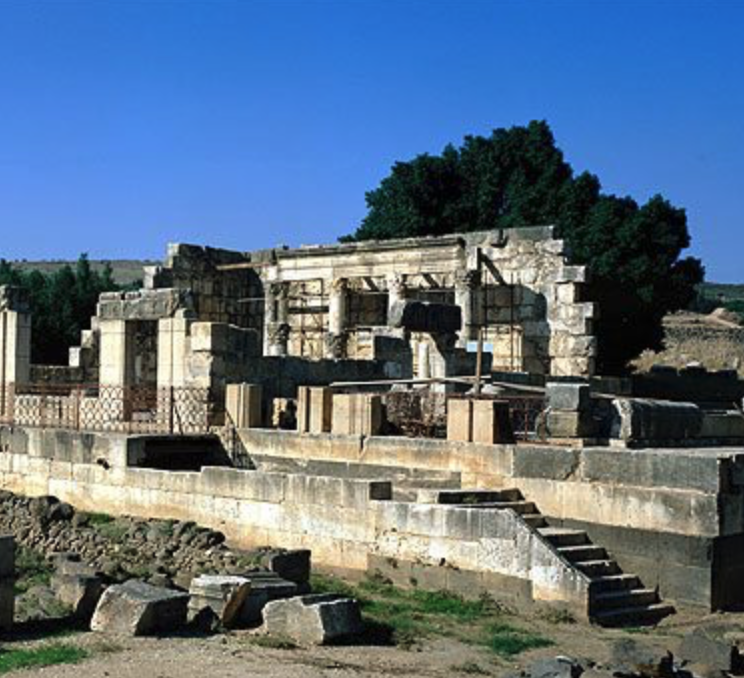 rosnersdomain's tweet image. ג׳ודי מגנס, מה ארכאולוגית מחפשת בשירותים?
שיחה על המגילות הגנוזות, על הראש של הורדוס, על קטטות של ארכיאולוגים, יגאל ידין, בתי כנסת בגליל, איסיים, שירותים, חפירות, מערות, בית לחם, שמשון הגיבור, חכמי המשנה, יהודים ונוצרים, מטבעות וכדים. על מה שהיה כאן פעם, ומה שנשאר (תצלומים: רשות…