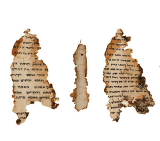 rosnersdomain's tweet image. ג׳ודי מגנס, מה ארכאולוגית מחפשת בשירותים?
שיחה על המגילות הגנוזות, על הראש של הורדוס, על קטטות של ארכיאולוגים, יגאל ידין, בתי כנסת בגליל, איסיים, שירותים, חפירות, מערות, בית לחם, שמשון הגיבור, חכמי המשנה, יהודים ונוצרים, מטבעות וכדים. על מה שהיה כאן פעם, ומה שנשאר (תצלומים: רשות…
