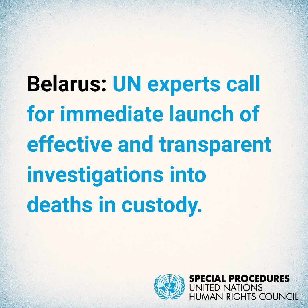 UN_SPExperts's tweet image. #Belarus: UN experts call for investigations into deaths in custody of individuals who were deprived of their liberty for expressing political dissent.
ohchr.org/en/press-relea…