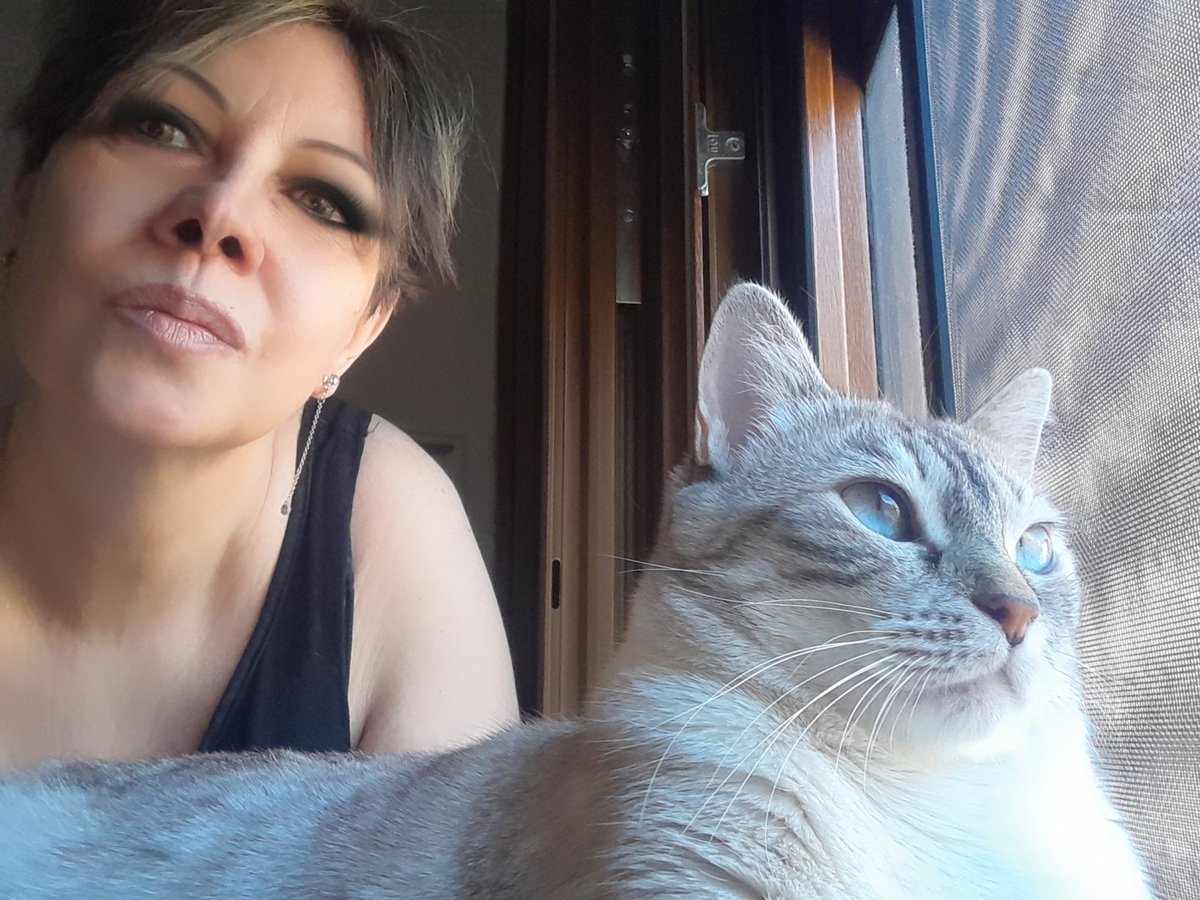 Happy wednesday to you all... from 🇪🇦😻