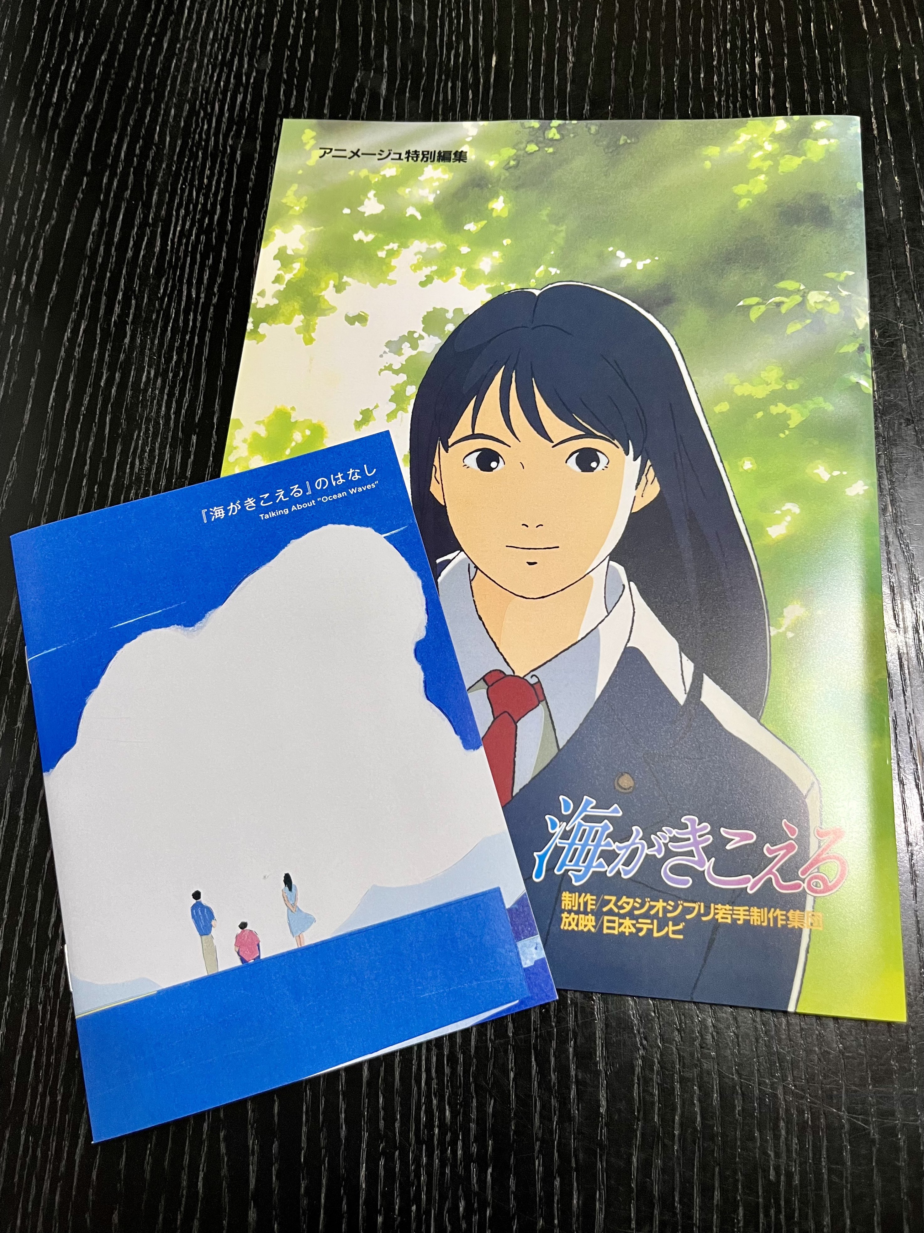 海がきこえる 復刻 映画 劇場 限定 上映記念 サウンドトラック