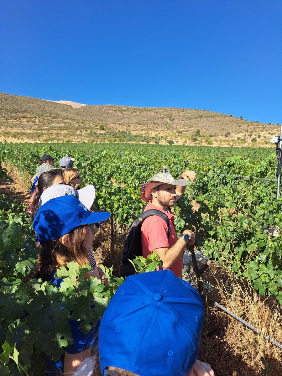 Granada se convirtió en el epicentro europeo de las soluciones basadas en la naturaleza con la celebración del congreso internacional #TERRAEnVISION2025 

Infórmate aquí ⬇️
improntagranada.es/soilcrates/tie…