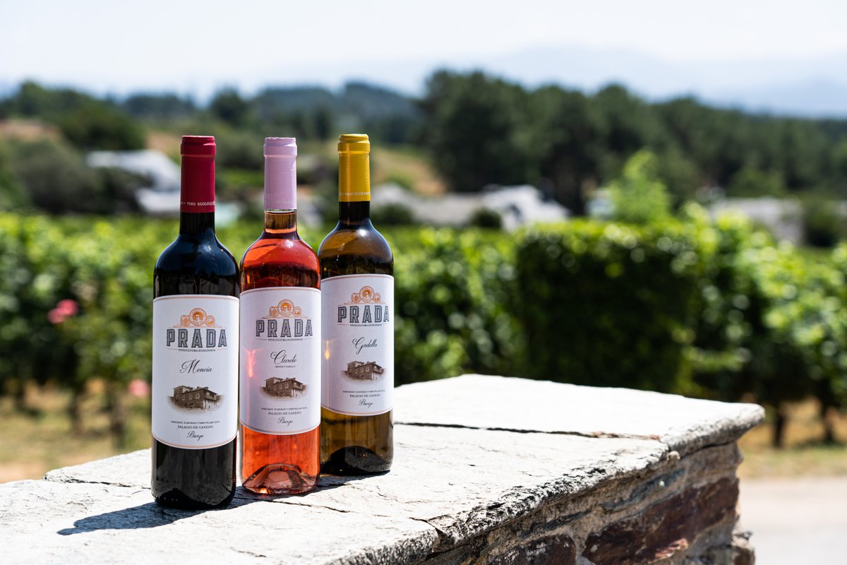 PRADA A TOPE (@pradaatope) on Twitter photo ❤️🩷💛 Nuestro trío inseparable: Mencía, Clarete y Godello ❤️🩷💛
100% uvas mencía, mencía y godello y 100% godello 🍷
¿Cuál es tu favorito para estar siempre... #ATope? ❤️🩷💛 Nuestro trío inseparable: Mencía, Clarete y Godello ❤️🩷💛
100% uvas mencía, mencía y godello y 100% godello 🍷
¿Cuál es tu favorito para estar siempre... #ATope?