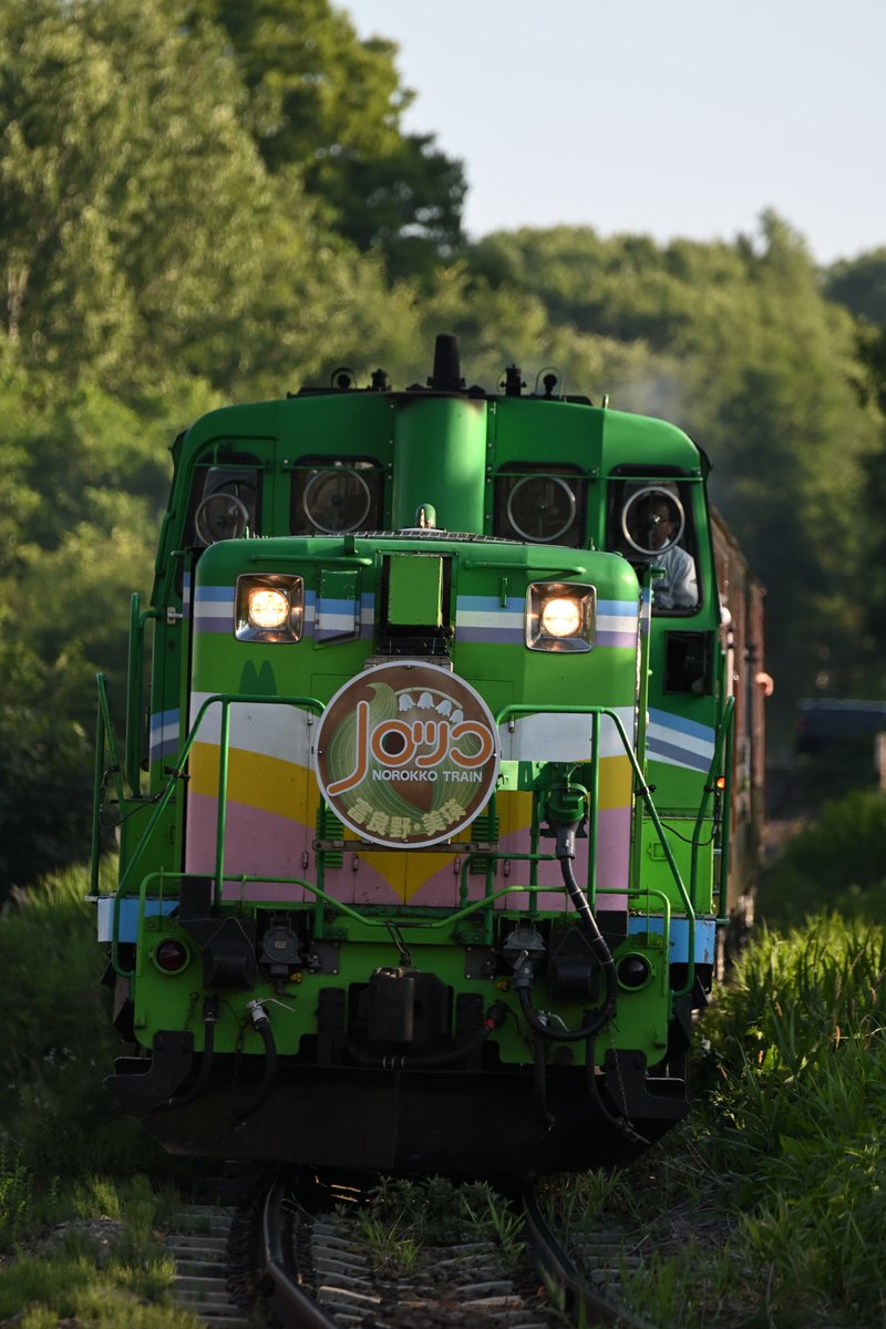 【送料無料】北海道観光号★国鉄★鉄道サボ★即購入OK!★匿名配送 送料無料】北海道観光号☆国鉄☆鉄道サボ☆即購入OK!☆匿名配送