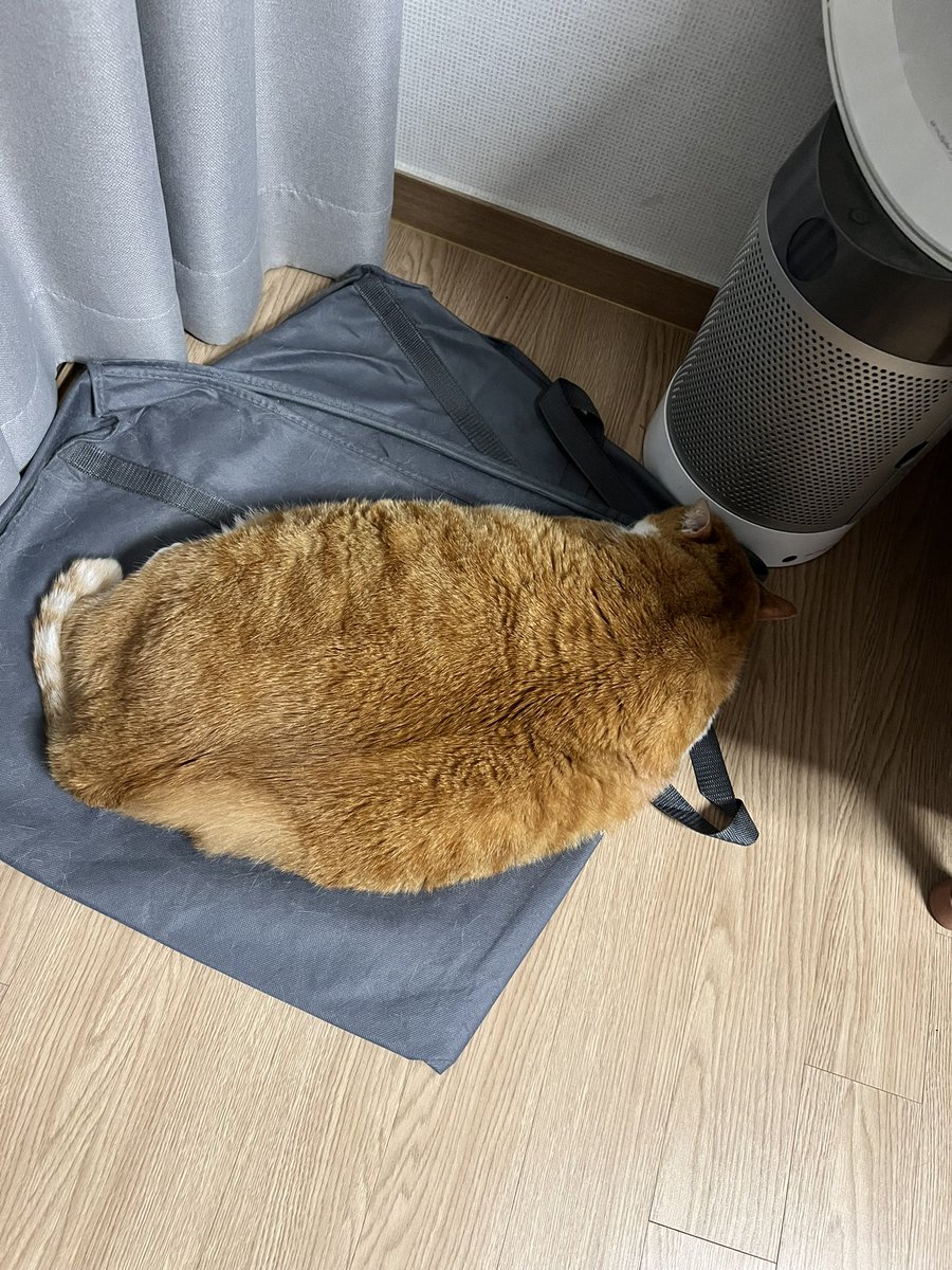 geumdong103's tweet image. 도대체 왜 좋을까 저 커버가 정말이지 궁금