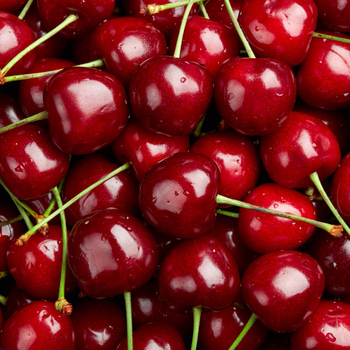 USDA_NIFA's tweet image. Working together puts the cherry on top of this research! See how multistate projects are collaborating to improve cherry production, quality and marketing: mrfimpacts.org/single-post/sc… #NationalCherryDay