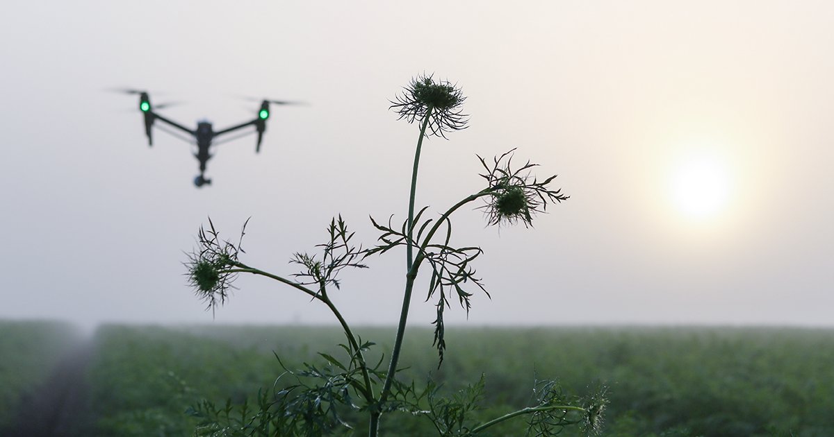 L’IA transforme le Canada, par exemple grâce à des drones réduisant l’usage de pesticides ou à des outils aidant les cliniciens et leurs patients.

Voyez comment le GC soutient le développement et la commercialisation de l’IA: ised-isde.canada.ca/site/ised/en/a…

#JournéeDAppréciationDeLIA