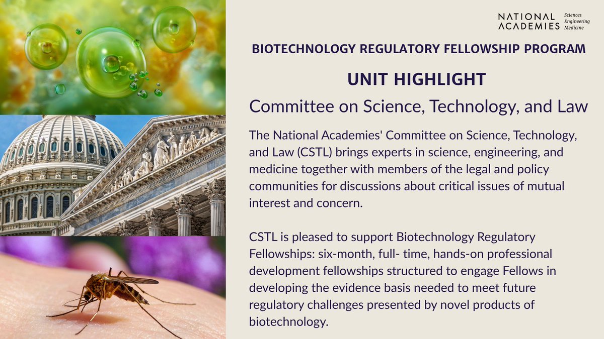 NASEM_BioRegFS's tweet image. Unit Highlight: The Committee on Science, Technology, and Law (CSTL) connects experts across fields to address key issues at the intersection of science and law.
Apply now - ow.ly/86yL50Wh40F
#BiotechnologyFellowship #RegulatoryPolicy #ApplyNow #Fellowship