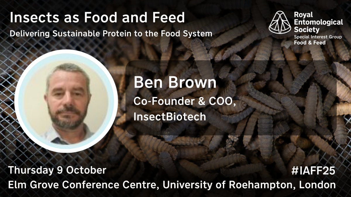 RoyEntSoc's tweet image. Meet #IAFF25 keynote speaker - Ben Brown, Co-Founder & COO, @insectbiotecheu, speaking at our Insects as Food and Feed conference on optimising #BlackSoldierFly larvae use: waste residue conversion as the future of feed.
Register now 🔽
royensoc.co.uk/event/iaff25
@RoehamptonUni