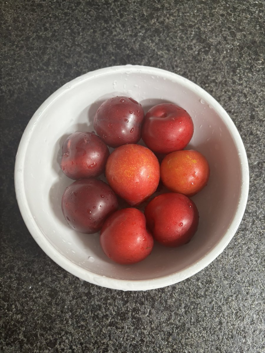 roundsummer's tweet image. 친구들이랑 수영 즐겁게 갔다오고 시장에서 자두 사왔는데 맛있다!
마음이 번잡할 때는 아무튼 밖으로 나가야 한다