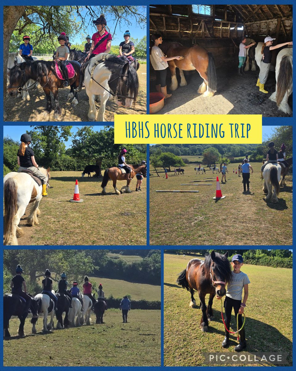 Last Friday, we held an alternative ‘sports day’ for a group of students and we went horse riding for the morning. We learned about bringing the horses in, grooming and then had a lovely ride with some games. For many students, this was their first time riding and they loved it!