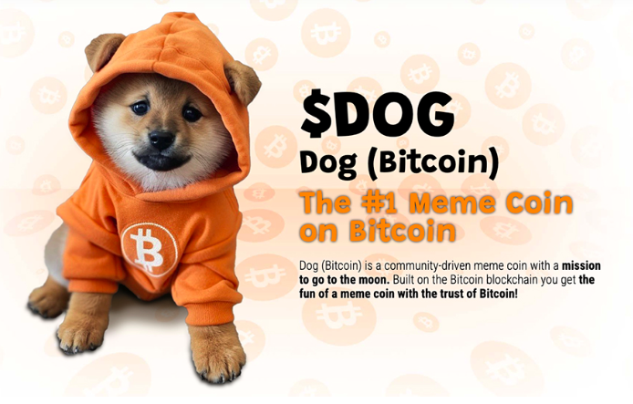 nr1memeonbtc's tweet photo. GM $DOG LOVERS! I THINK ITS TIME FOR THIS CUTIE ON BITCOIN TO GO TO THE MOON! YOUR OPINION?

#BTC #KRAKEN #XVERSE #RUNES #FLYJULY 🚀 https://t.co/3jMiFqrFhy