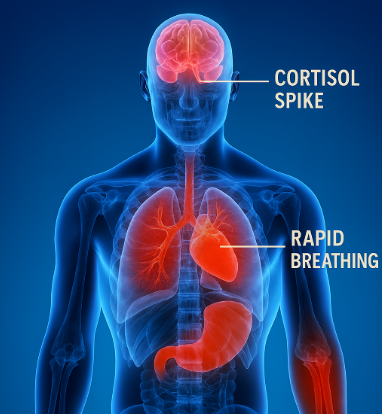 95% of boundary advice is useless.  

You're not overworked because you can't say no.  
You're overworked because you became the reliable one....

And your nervous system won't let you stop.  

Here's how to break free: 🧵