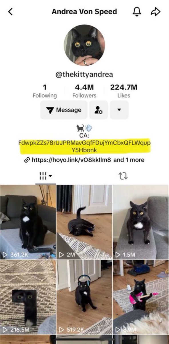 The TikTok meta will be everywhere soon

4.4 M followeeers 🙀 

$ANDREA