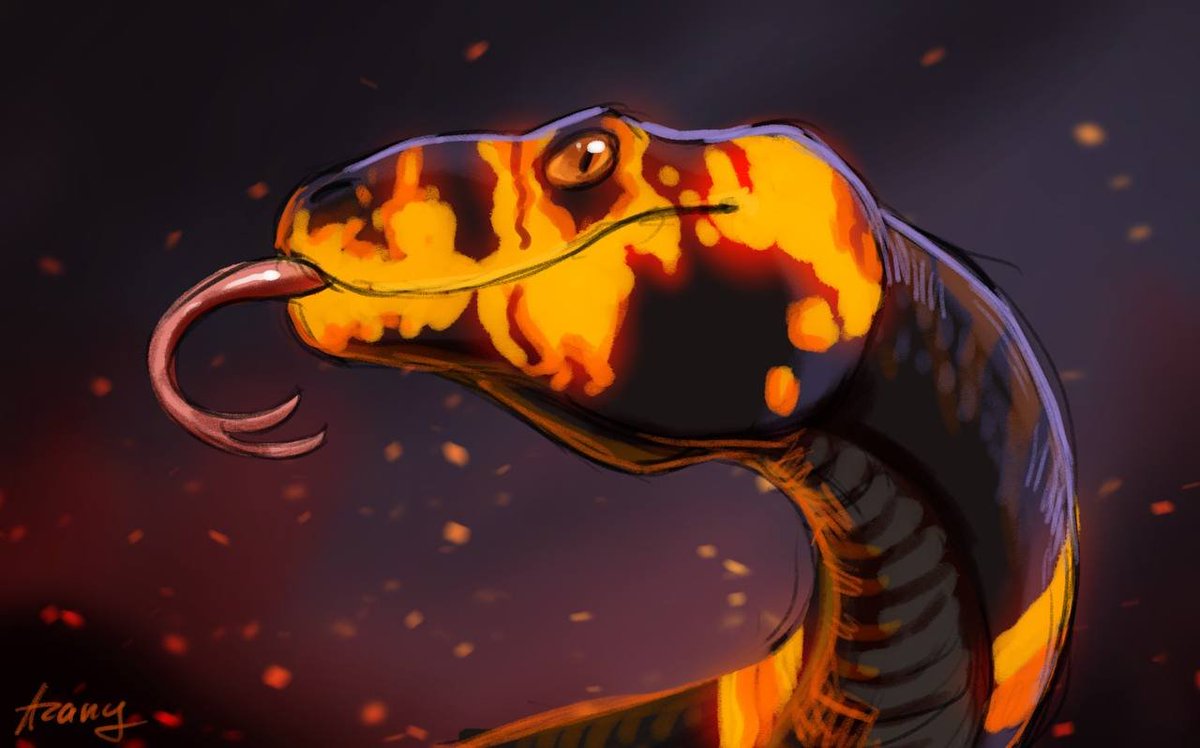 Azany_artist's tweet image. Little gift for Shunny. 
Paleophis from #BeastsofBermuda