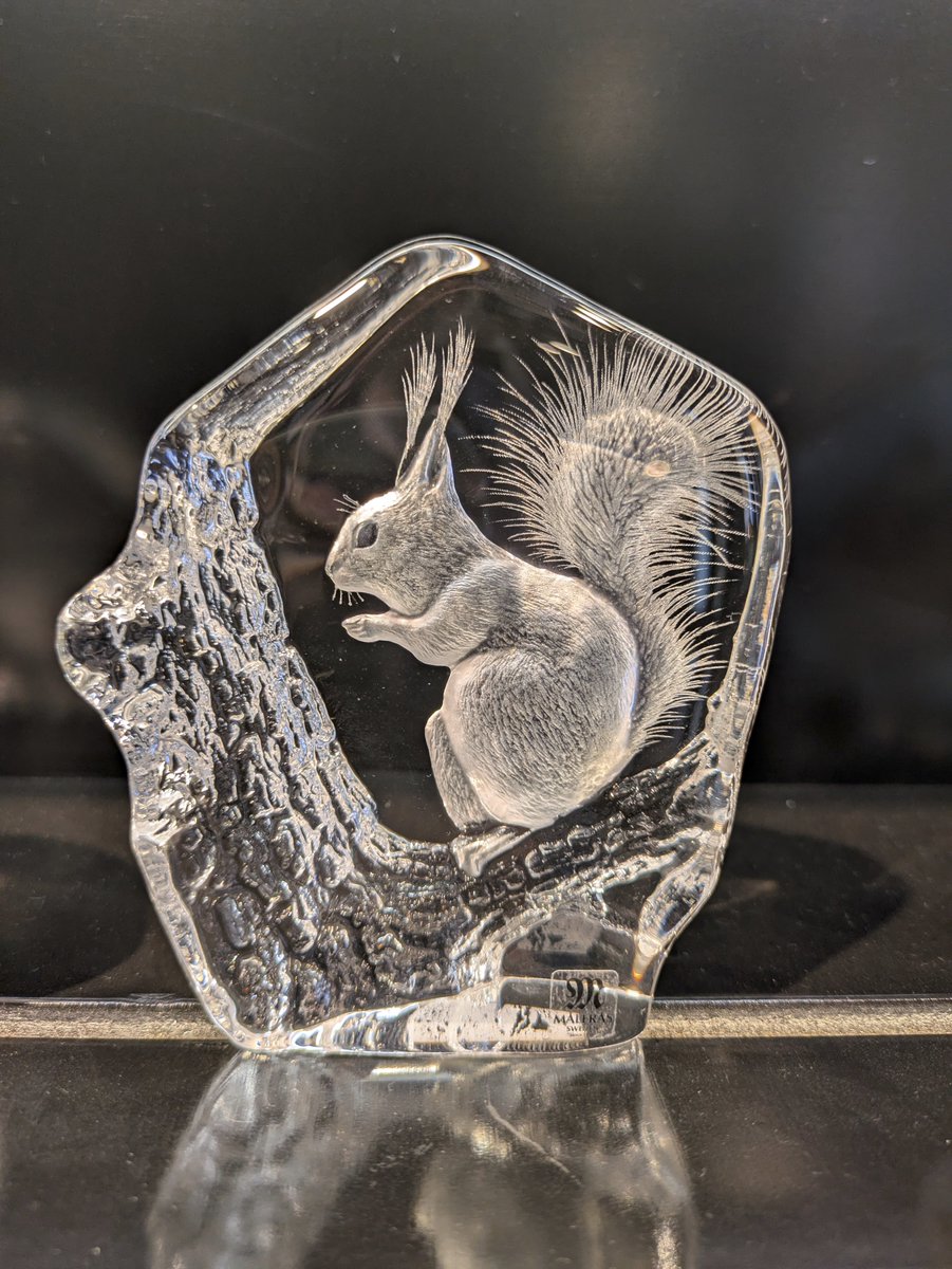 nowhere1237's tweet image. 