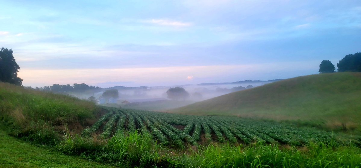 longhunter09's tweet image. Finished an early 9 mile run just as the sun was coming up. We are incredibly blessed to be able to call this place home.