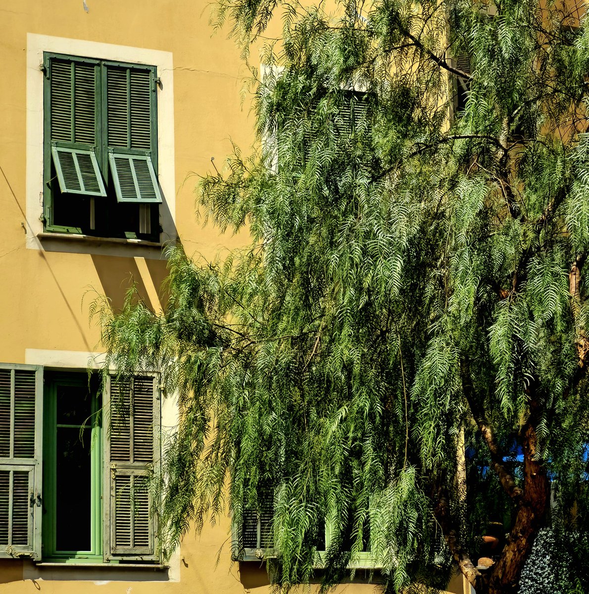 cd_land's tweet photo. Couleurs niçoises 🟡🟠🔴🟢
#NiceCotedAzur #Nice06
#monquartier #CotedAzurFrance https://t.co/Ux60Lo6ttN