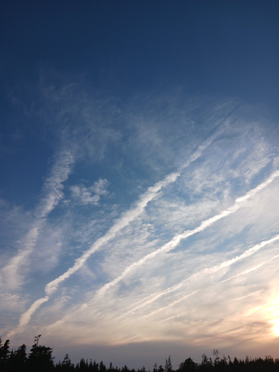 ImagesCoast's tweet image. Part Two of the July 5th 2025 chemical attack!
Airlines leave trails of chemicals in the sky over Nova Scotia, Canada.
July 05 2025 #chemtrails #nanotech #NovaScotia #DeepState