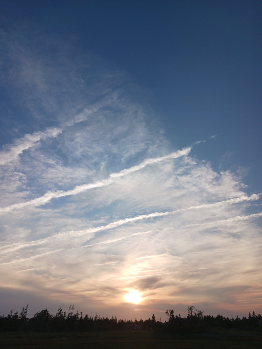 ImagesCoast's tweet image. Part Two of the July 5th 2025 chemical attack!
Airlines leave trails of chemicals in the sky over Nova Scotia, Canada.
July 05 2025 #chemtrails #nanotech #NovaScotia #DeepState