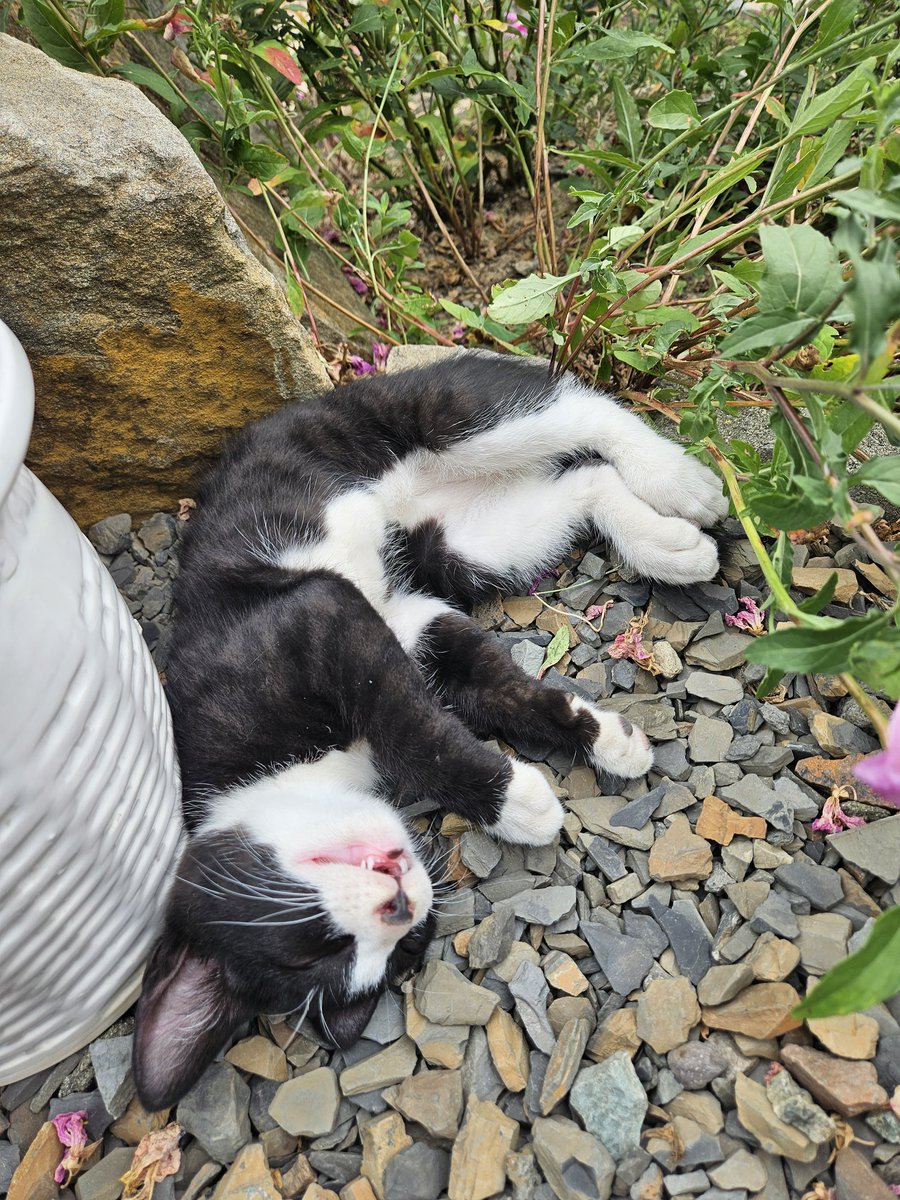 이렇게 귀엽게 잔다고