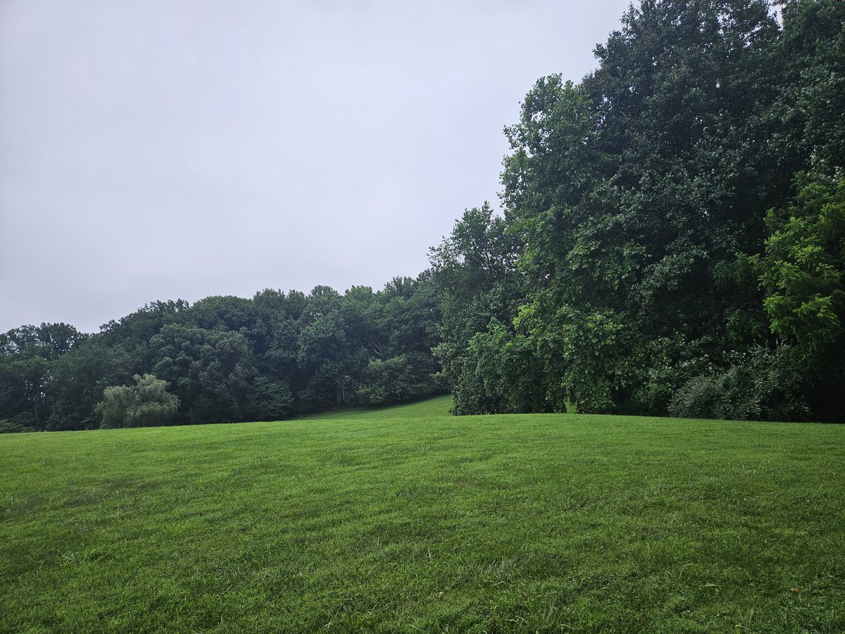 Buen día gente linda ☘️🌳🌲💌😘
#FelizMiércoles