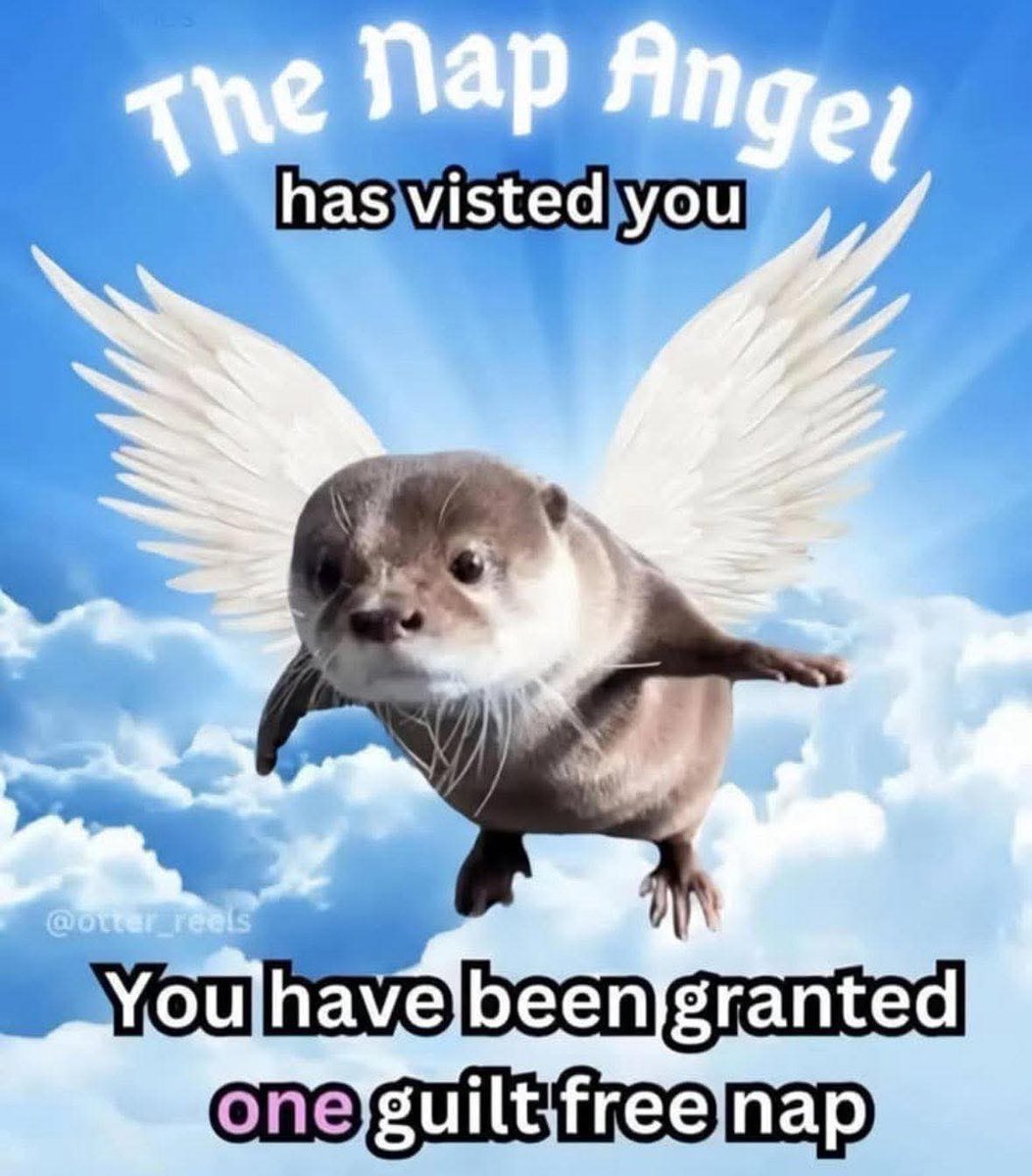 Go on, take that nap! 🥱💤