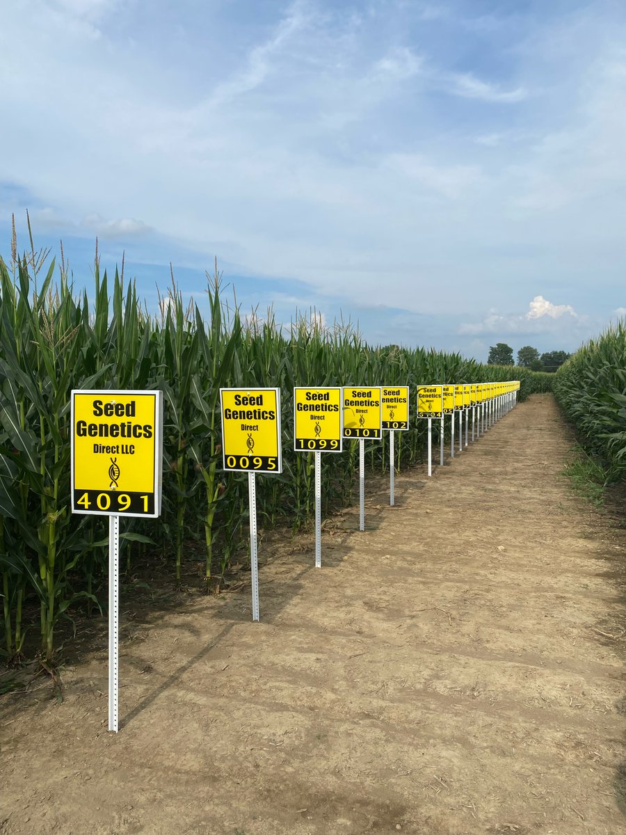 seedgenetics's tweet image. Signs are going up on our replicated research plots!