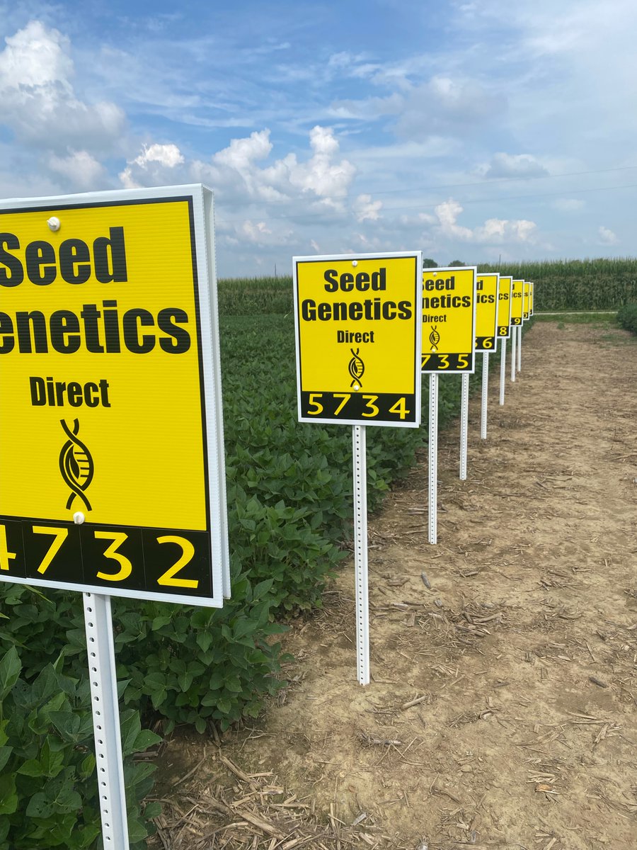 seedgenetics's tweet image. Signs are going up on our replicated research plots!