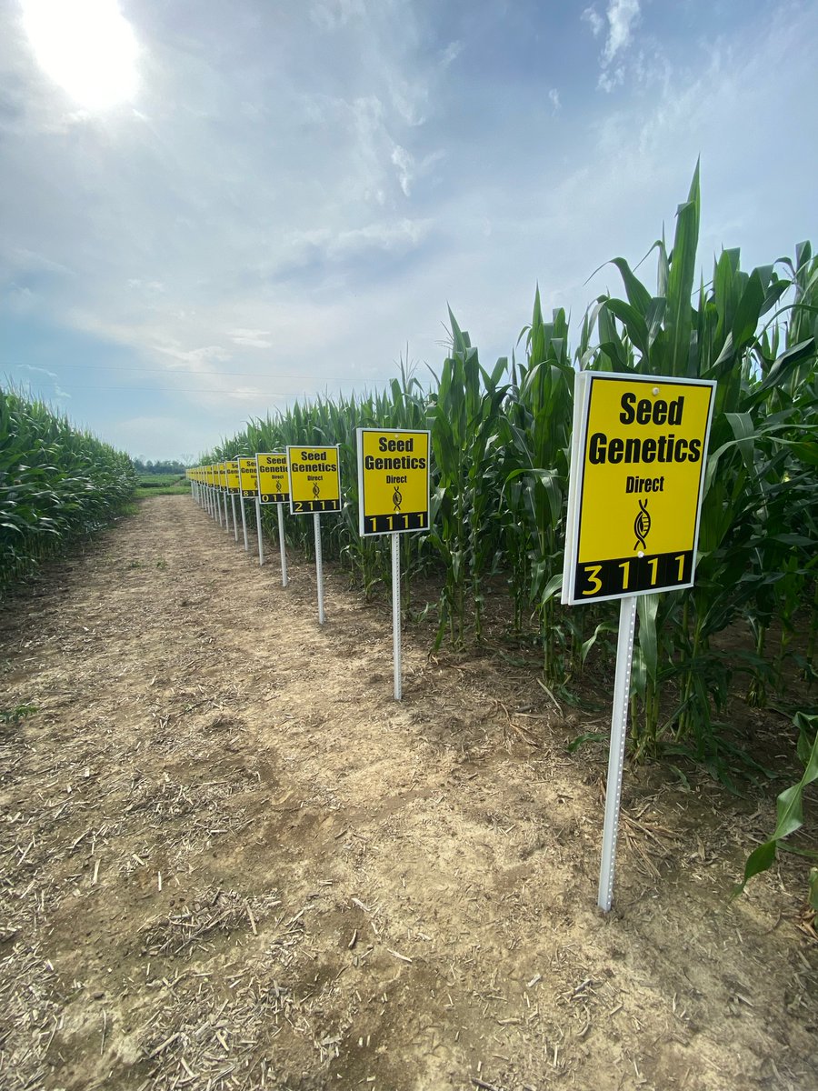seedgenetics's tweet image. Signs are going up on our replicated research plots!