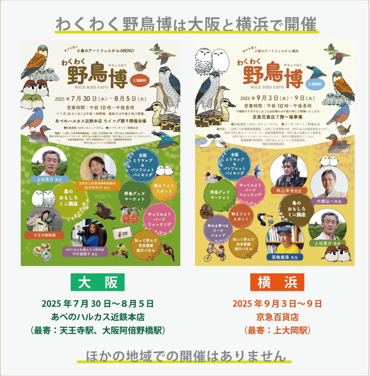 Yachoo_Seikatsu's tweet image. みんなにとどけ‼️
野鳥に特化した百貨店催事「わくわく野鳥博」は大阪と横浜で開催!
野鳥モチーフ雑貨販売のほか、鳥類学の第一線で活躍の専門家によるミニ講座、全国とりマップ&パンフレットバイキング、触れる羽標本、映えフォトスポット、ワークショップ……などなど盛り沢山の一週間です📢