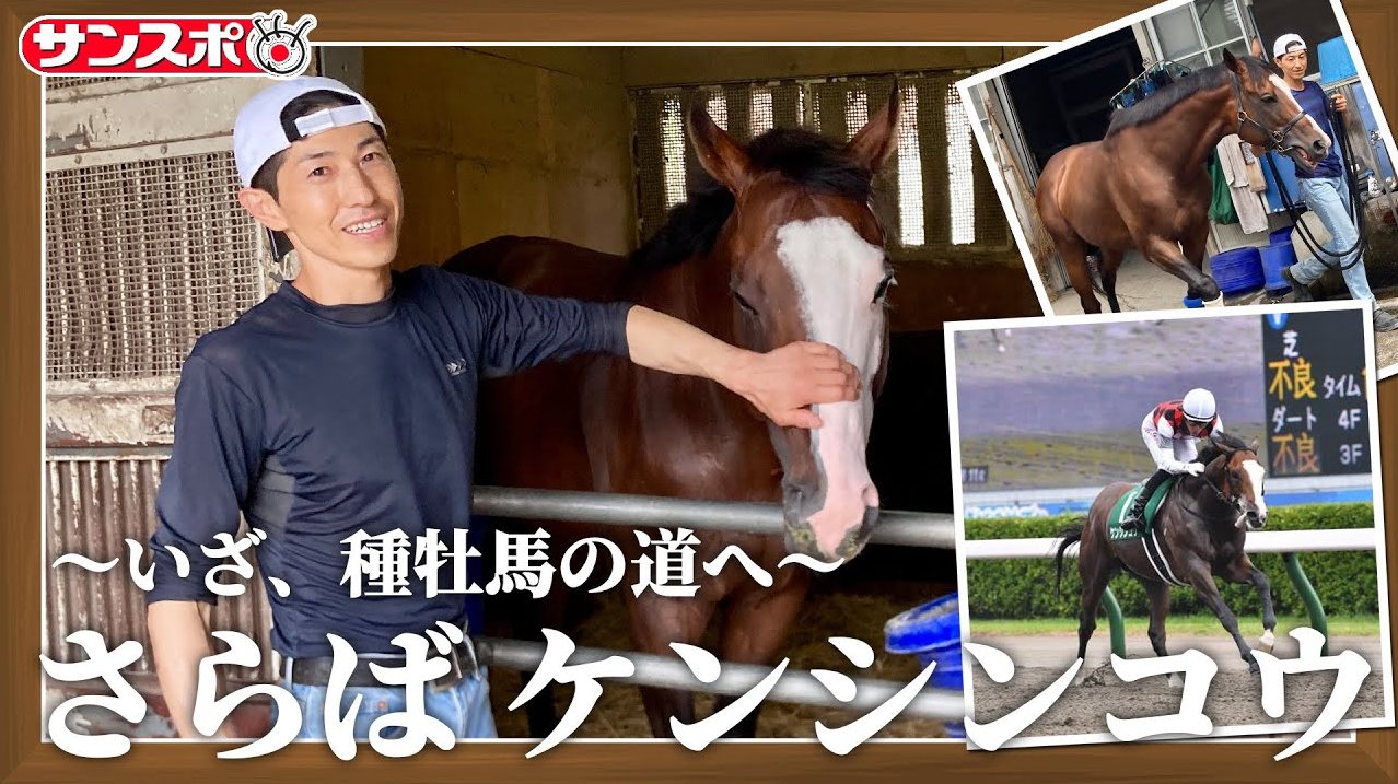 合馬 サンスポZBAT!競馬 on X: 