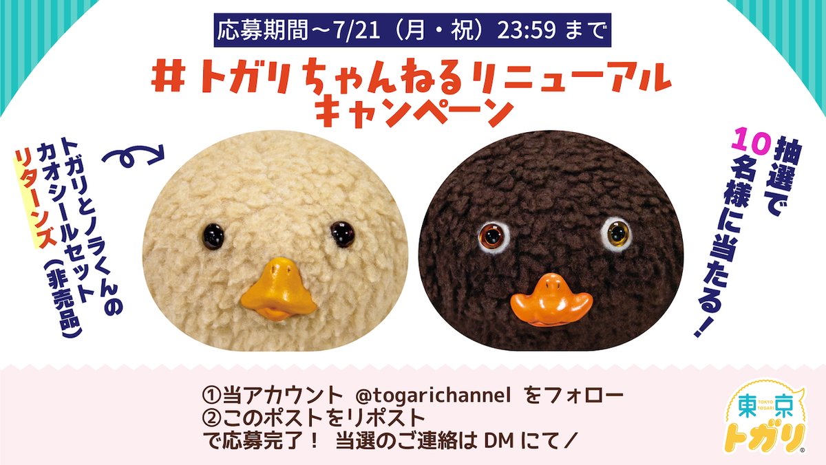 🎈フォロー＆リポストキャンペーン🎈

リニューアルを記念して、抽選で豪華賞品が当たるキャンペーンを開催！

①「トガリちゃんねる」 <a href="/togarichannel/">トガリちゃんねる</a> をフォロー
②このポストをリポスト

①＋②で応募完了🖐️／
当選のご連絡はDMにて📲

新しくなった「トガリちゃんねる」を、どうぞお楽しみに！