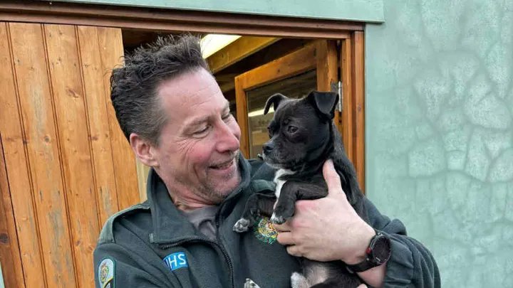 1/2 - Tributes are pouring in for <a href="/Ldn_Ambulance/">London Ambulance Service</a> paramedic Simon Gore, a veteran paramedic from Newham ambulance station who sadly died on 3 July while travelling home from work. 💚

Simon dedicated over 15 years to frontline service in north east London. He was 54. 👇🧵