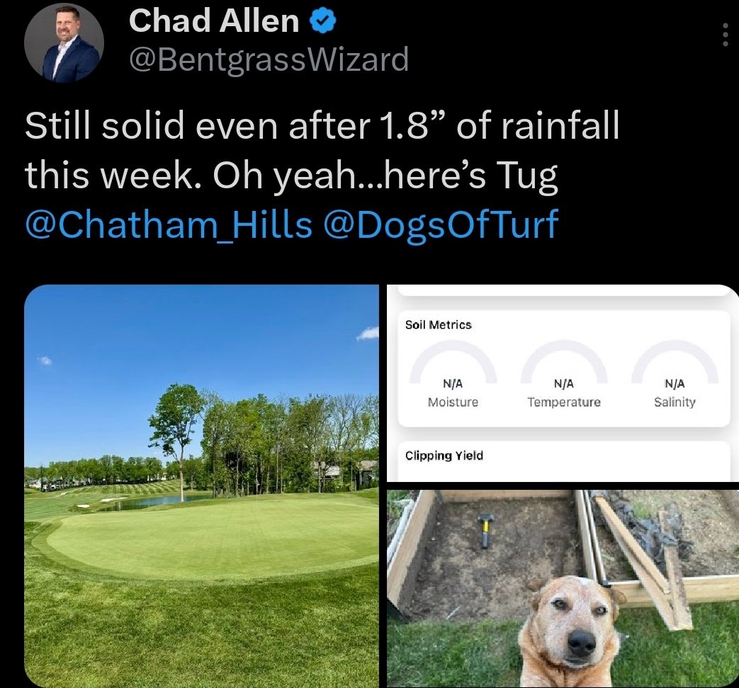 turf_talk1's tweet image. Turf Talk tonight! @BentgrassWizard and Tug (allegedly) are going to join us.. see everyone 7PM est
@TyRobbTurf @BorRazu13
@AerationTech
#ATIGOLFSERVICES