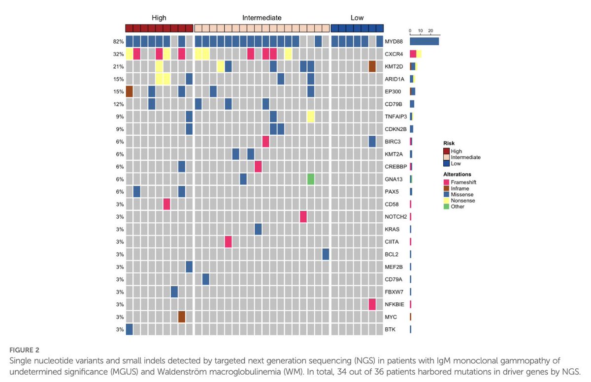 Myeloma_Doc's tweet image. #Myeloma Paper of the Day: Genomic & immune profiling of prognostic groups in IgM gammopathy reveals novel biomarkers beyond MYD88 L265P e.g. CXCR4, KMT2D, ARID1A and EP300 mutations, upregulated genes involved in NF-κB and BCR signaling activation: pubmed.ncbi.nlm.nih.gov/40666506/. #mmsm