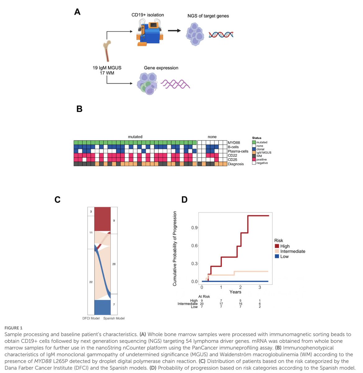Myeloma_Doc's tweet image. #Myeloma Paper of the Day: Genomic & immune profiling of prognostic groups in IgM gammopathy reveals novel biomarkers beyond MYD88 L265P e.g. CXCR4, KMT2D, ARID1A and EP300 mutations, upregulated genes involved in NF-κB and BCR signaling activation: pubmed.ncbi.nlm.nih.gov/40666506/. #mmsm