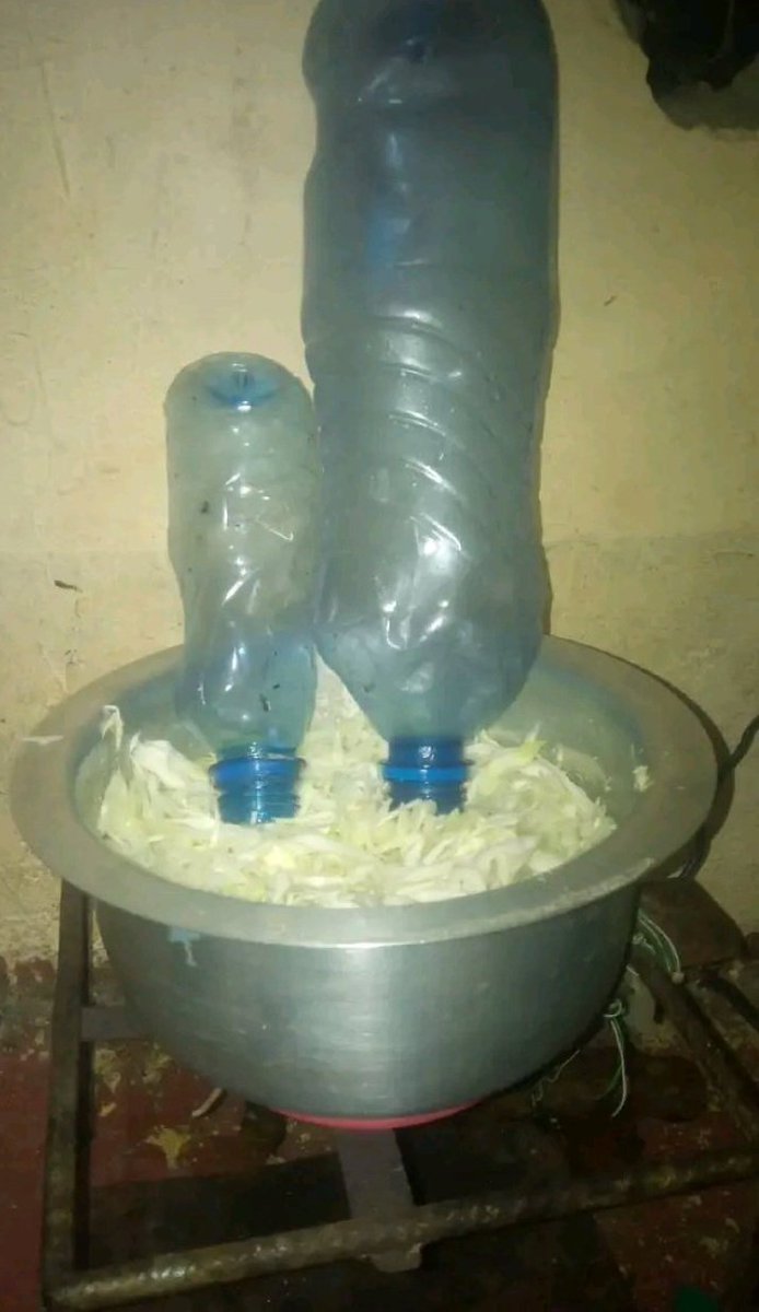 Coolkid atadhani hii ni drip irrigation -- Agriculture project ya CBC😪😂