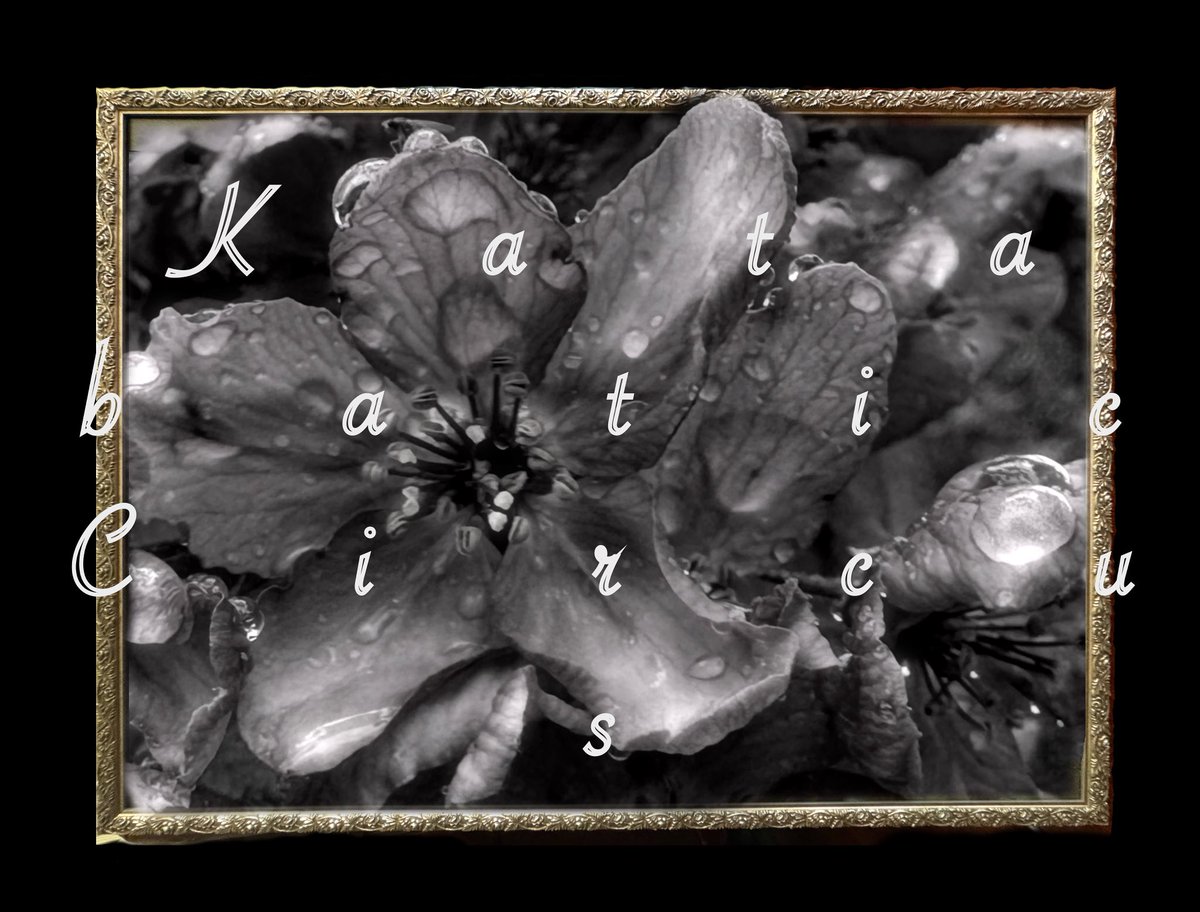 Katabatic Circus Volume 2 is open to submissions of speculative poetry until September 30, 2025: angrygablepress.com/katabatic-circ…