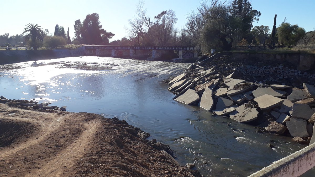 Adrián Gibelli tweet media