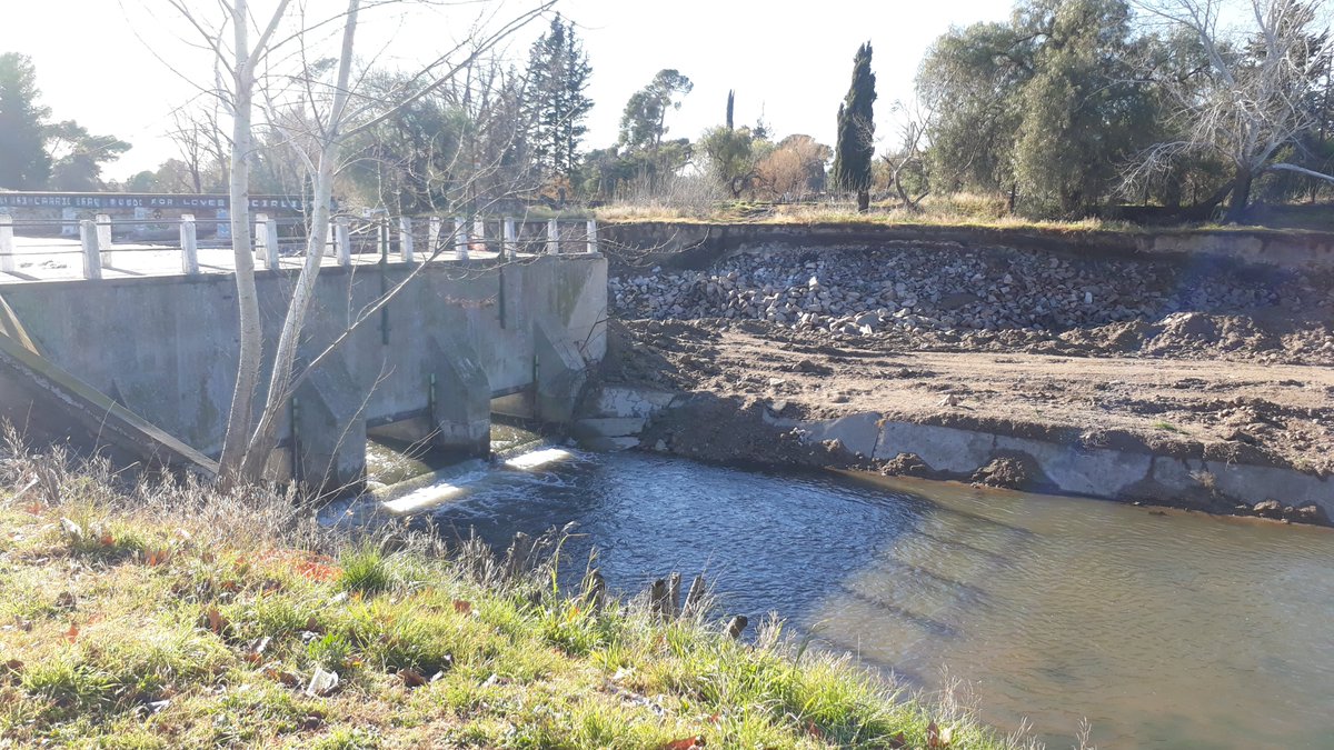 Adrián Gibelli tweet media