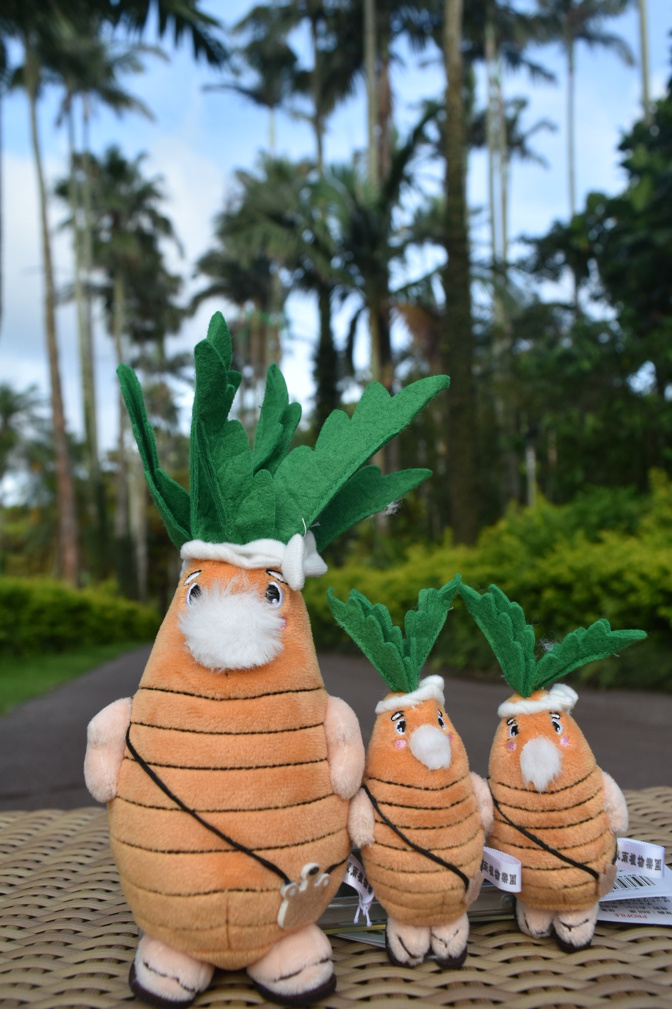 ぬいぐるみ　カピバラ　大サイズ　美らヤシパークオキナワ　東南植物楽園 美らヤシパークオキナワ・東南植物楽園【公式】 on X
