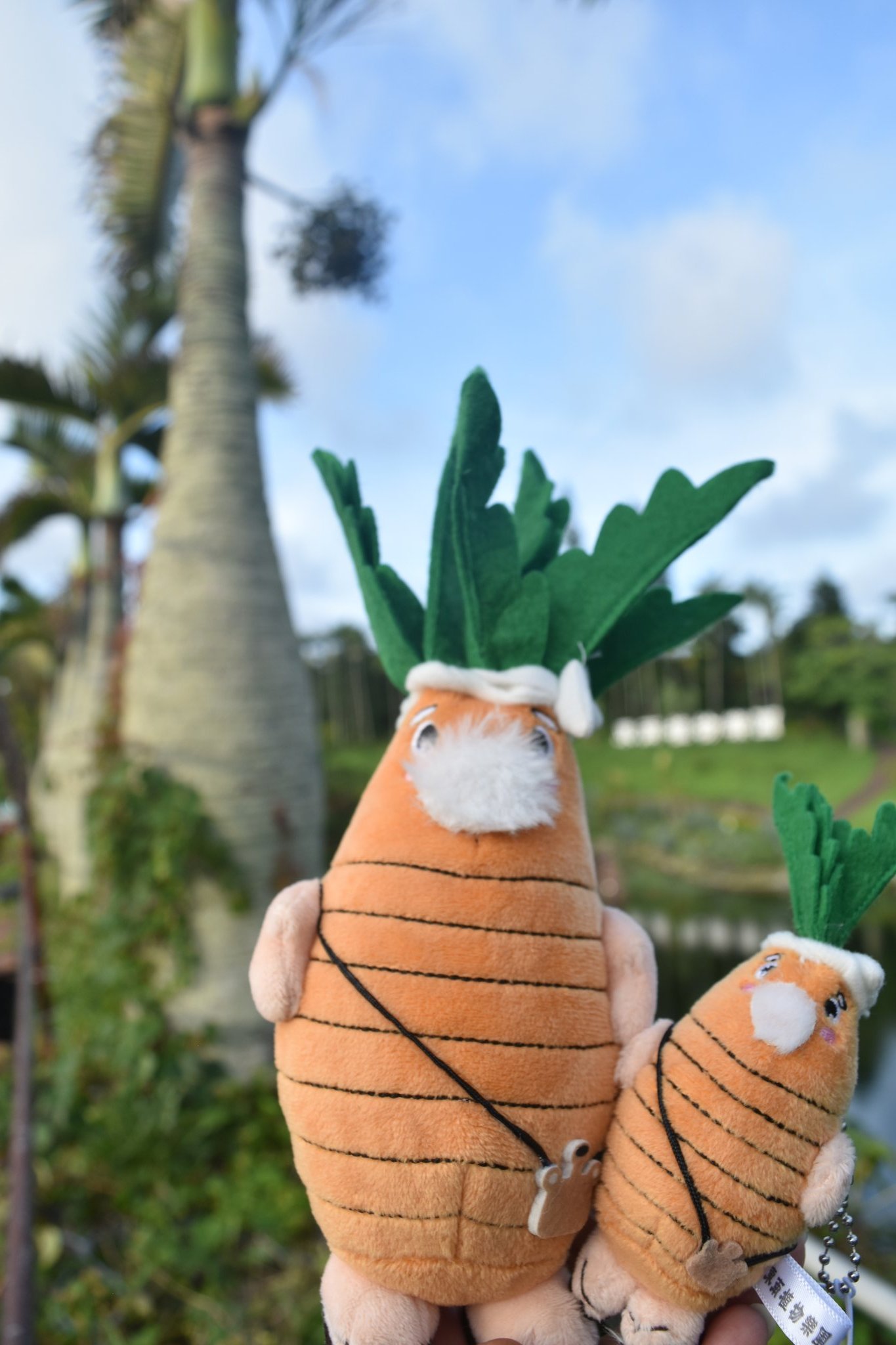 ぬいぐるみ　カピバラ　大サイズ　美らヤシパークオキナワ　東南植物楽園 ぬいぐるみ カピバラ 大サイズ 美らヤシパークオキナワ 東南植物楽園