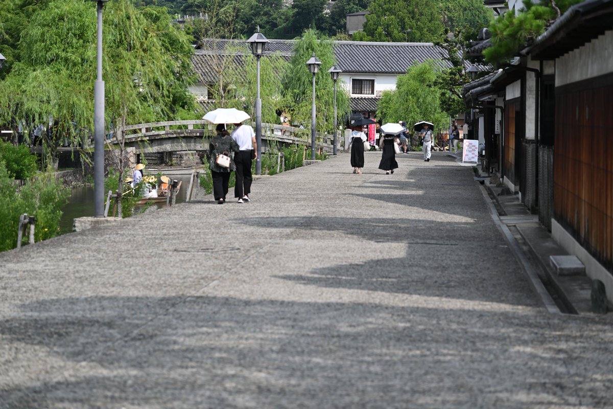 kodera16's tweet image. #倉敷美観地区
今日の美観地区お写ん歩
白鳥のヒナ検査が終わり無事に帰ってきました。
でも人に初めて人に触れられたからか、小屋から出てきてくれませんでした。
