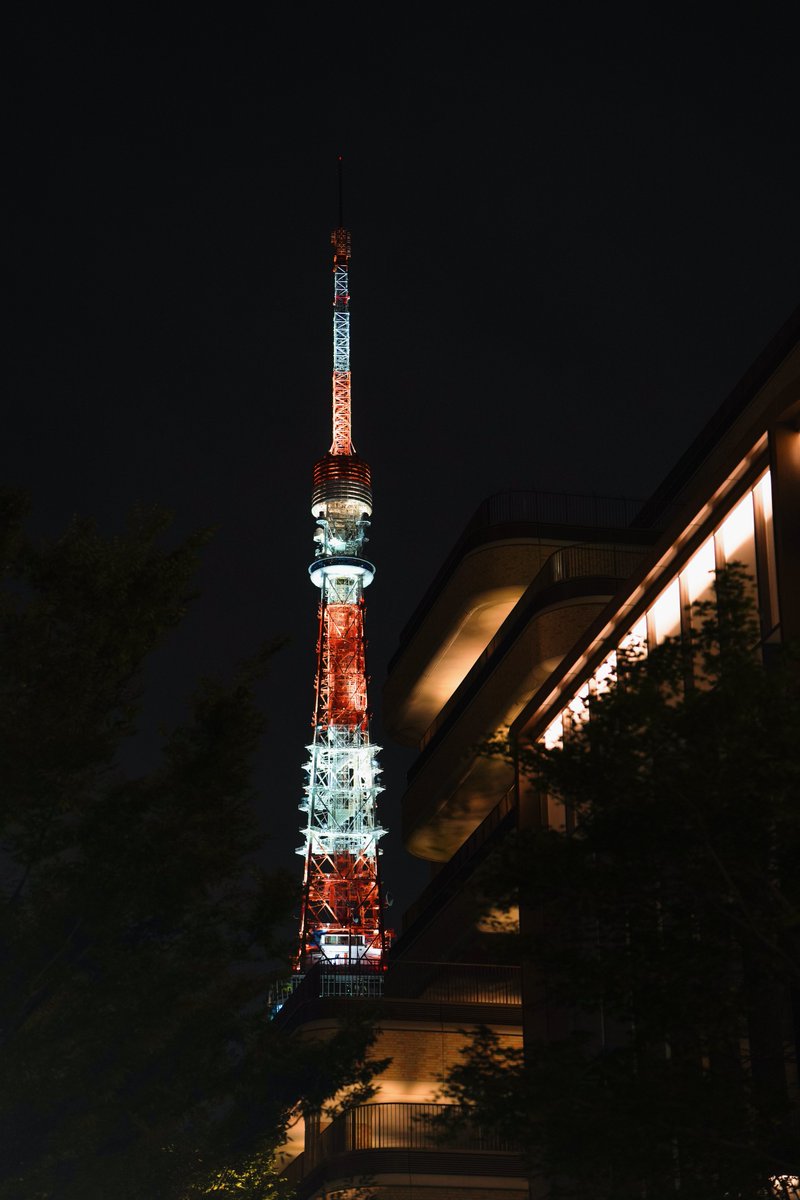 ats90922's tweet image. たくさんの方々にご来場いただけて心より感謝申し上げます。会期も残り5日となりましたが、最後までどうぞよろしくお願いいたします。
写真は入り口から見える東京タワーです🗼
【『恐竜日本画帖』出版記念 水島篤展】
会期:7月1日〜21日
会場:大垣書店麻布台ヒルズ店
#日本画 #恐竜